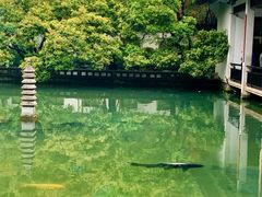 -杭州植物园