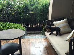 -上海崇明金茂凯悦酒店