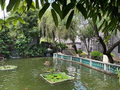 -碧江金楼