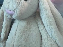 -PAWTOY爪e玩偶店(天兴罗斯福店)