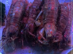 -湛江明记(湛江鸡湛江生蚝)