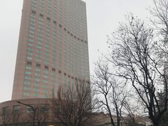 -南京维景国际大酒店(南京博物院店)