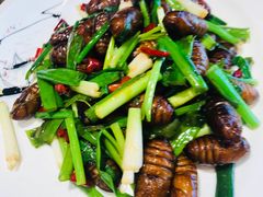 -那家老院子东北菜·饺子·小鸡炖蘑菇(艳华街店)