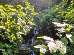 -龙苍沟森林公园