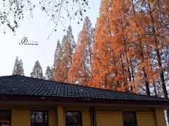 -T80科技文化国际社区-停车场