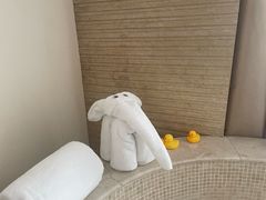 -宜春明月山维景国际温泉度假酒店