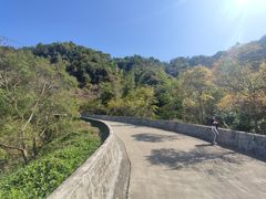 -田心森林公园