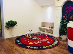 -遇见未来早教·托育中心(玛斯兰德旗舰店)