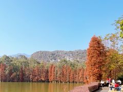 -星湖旅游景区七星岩