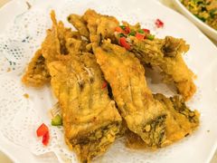 -寻味顺德·南记酒家·传统顺德菜·鱼生(广源路店)