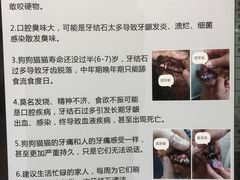 -中农大我爱我爱动物医院·核磁CT·猫病·24小时夜诊中心(石佛营店)