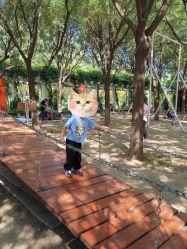 -优沃得自然教育农场·冰雪乐园·生日会·研学