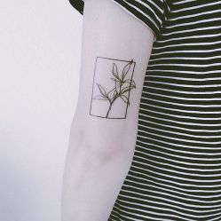 -见雾TATTOO STUDIO