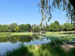 -北京新世纪妇幼医院·产检·分娩·计生(望京院区)