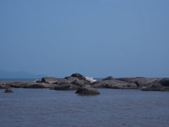 -浪琴湾度假村