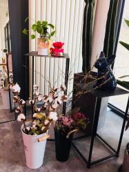 -Priscilla皮肤管理中心