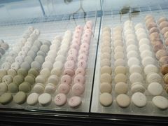 -BLACKSWAN黑天鹅(环球店)