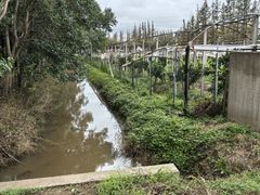 -前小桔亲子创意农场·草莓采摘·露营烧烤