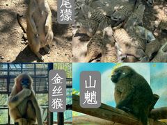 -天津市动物园