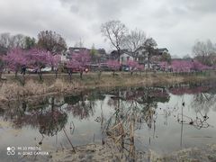 -石塘人家