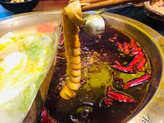 屠场黄喉-沸炉重庆老火锅(军事博物馆店)