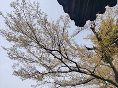 -拙政园