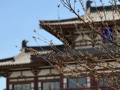 -西安青龙寺遗址景区