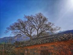 -塔川景区