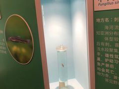-天津自然博物馆