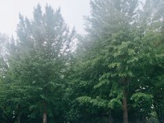 -玲珑塔公园