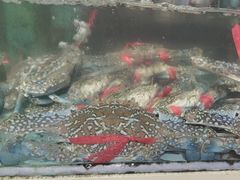 -原龙海鲜大排档(美食地标店)