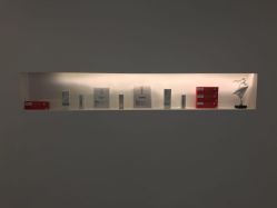 -様共享美容连锁机构