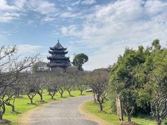 -上海海湾国家森林公园