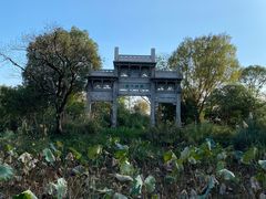 -西溪国家湿地公园