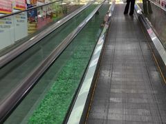-世纪联华(外高桥店)