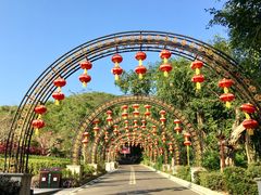 -大屏嶂森林公园