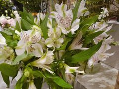 -花邻FloweringLife花艺气球派对(武康大楼店)