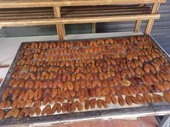 -南沙十九涌渔人码头-南门