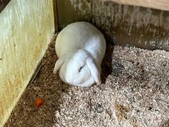-上海大自然野生昆虫馆