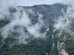 -牛背梁国家森林公园