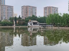 -团结湖公园