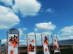 -光明小镇欢乐田园
