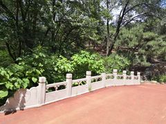 -云岗森林公园