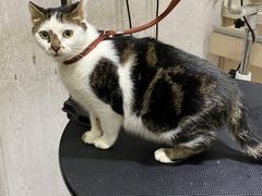 -宠颐生动物医院·小陆分院