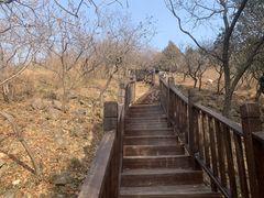 -北京十三陵国家森林公园蟒山景区