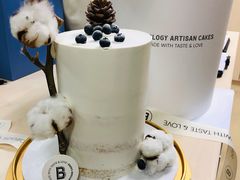 -Biteology Artisan Cakes(红庄·国际文化保税创新园店)