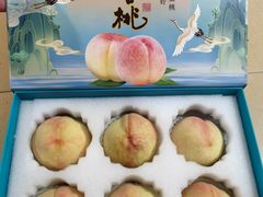 -老袁家蜜桃农场·阳山水蜜桃