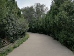 -府君山公园