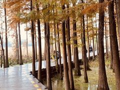 -云龙山