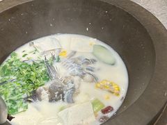 -鲜潭蒸汽石锅鱼(万象前海店)